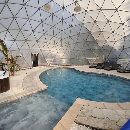 Mas Du Versadou, Dans Un Espace Naturel Protege, Piscine Couverte Chauffee Toute L'Annee, Spa Et Salle De Jeux سان جيل المظهر الخارجي الصورة