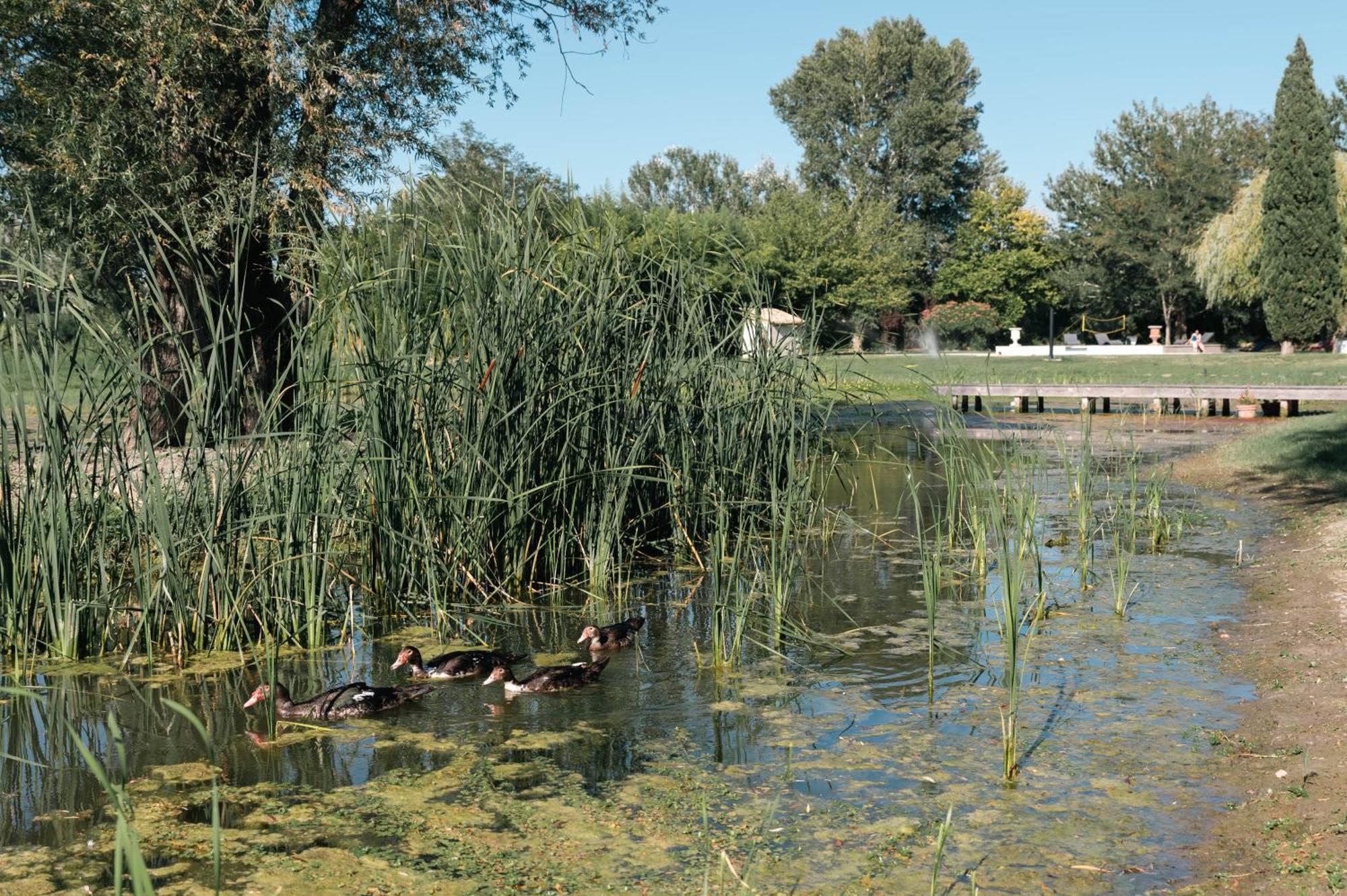 Mas Du Versadou, Dans Un Espace Naturel Protege, Piscine Couverte Chauffee Toute L'Annee, Spa Et Salle De Jeux سان جيل المظهر الخارجي الصورة